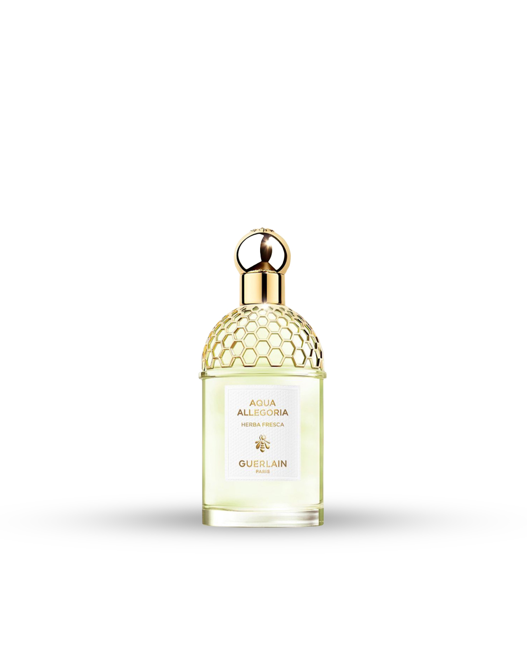 Parfum Guerlain Aqua Allegoria Herba Fresca au Maroc - NAY Parfums