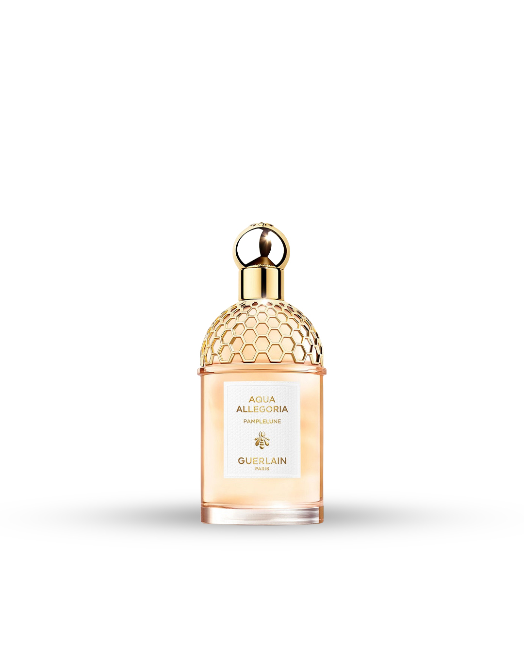Parfum Guerlain Aqua Allegoria Pamplelune au Maroc - NAY Parfums